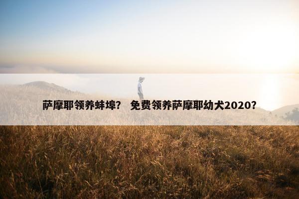 萨摩耶领养蚌埠？ 免费领养萨摩耶幼犬2020？