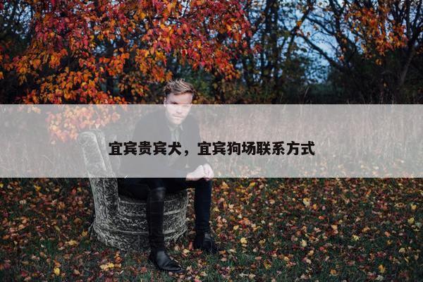 宜宾贵宾犬，宜宾狗场联系方式