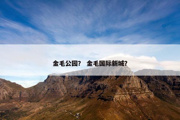 金毛公园？ 金毛国际新城？