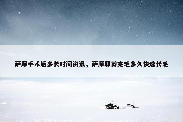 萨摩手术后多长时间资讯，萨摩耶剪完毛多久快速长毛