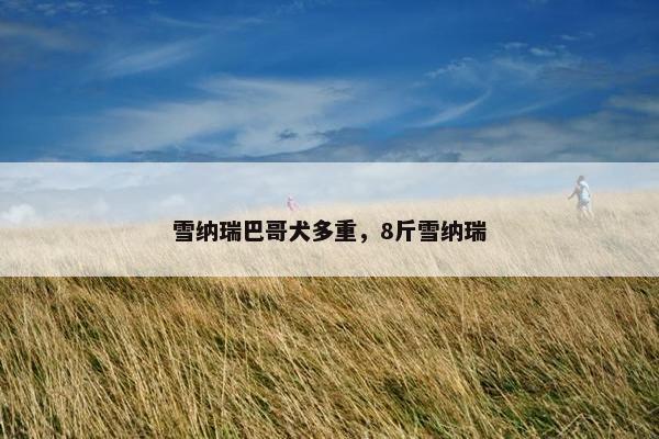 雪纳瑞巴哥犬多重，8斤雪纳瑞