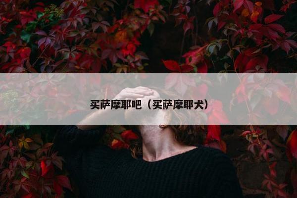 买萨摩耶吧（买萨摩耶犬）