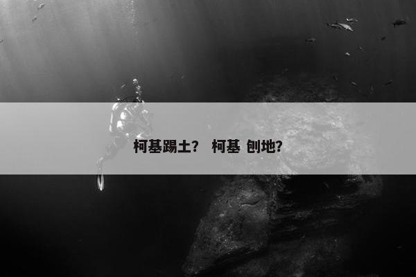 柯基踢土？ 柯基 刨地？