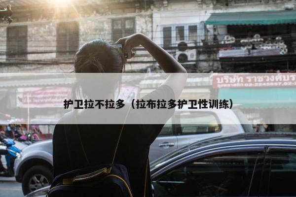 护卫拉不拉多（拉布拉多护卫性训练）