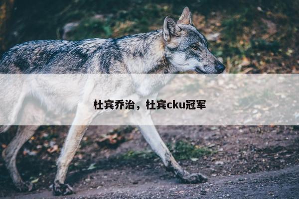 杜宾乔治，杜宾cku冠军