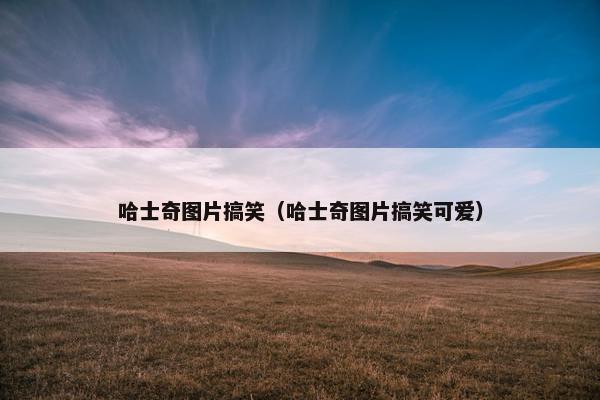 哈士奇图片搞笑（哈士奇图片搞笑可爱）