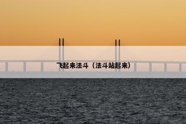 飞起来法斗（法斗站起来）