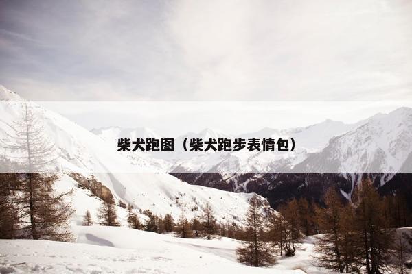 柴犬跑图（柴犬跑步表情包）