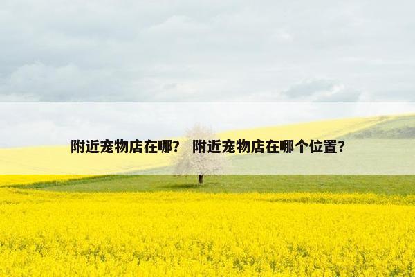 附近宠物店在哪？ 附近宠物店在哪个位置？