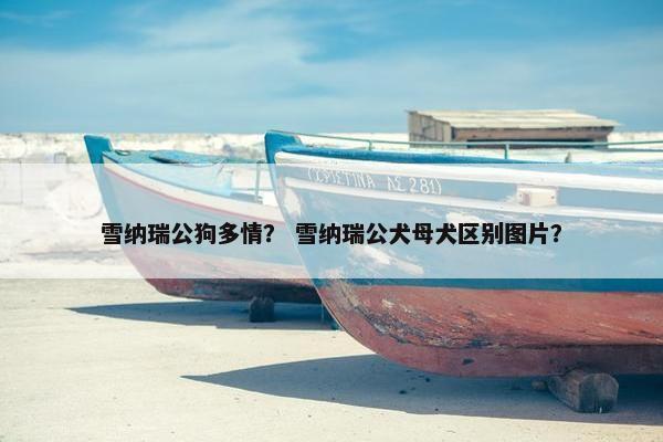 雪纳瑞公狗多情？ 雪纳瑞公犬母犬区别图片？