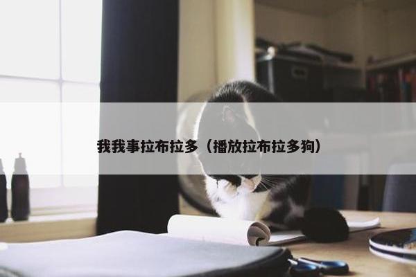 我我事拉布拉多（播放拉布拉多狗）