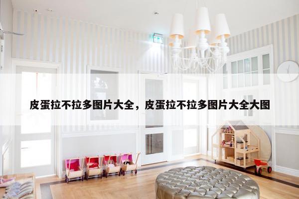 皮蛋拉不拉多图片大全，皮蛋拉不拉多图片大全大图