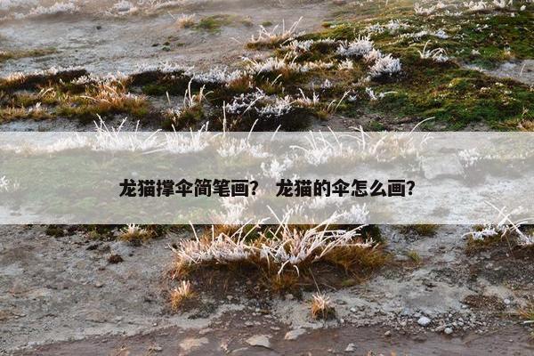 龙猫撑伞简笔画？ 龙猫的伞怎么画？