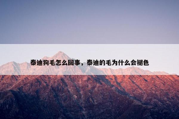泰迪狗毛怎么回事，泰迪的毛为什么会褪色