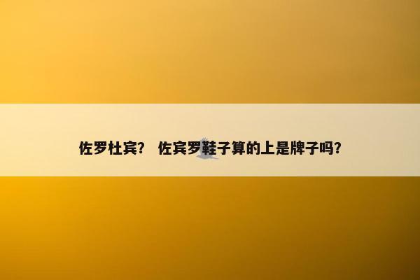 佐罗杜宾？ 佐宾罗鞋子算的上是牌子吗？