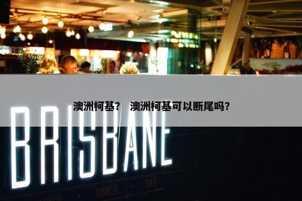 澳洲柯基？ 澳洲柯基可以断尾吗？