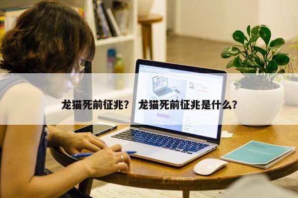 龙猫死前征兆？ 龙猫死前征兆是什么？