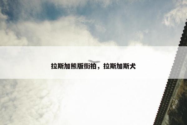 拉斯加熊版街拍，拉斯加斯犬