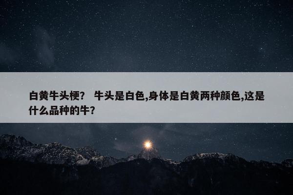白黄牛头梗？ 牛头是白色,身体是白黄两种颜色,这是什么品种的牛？