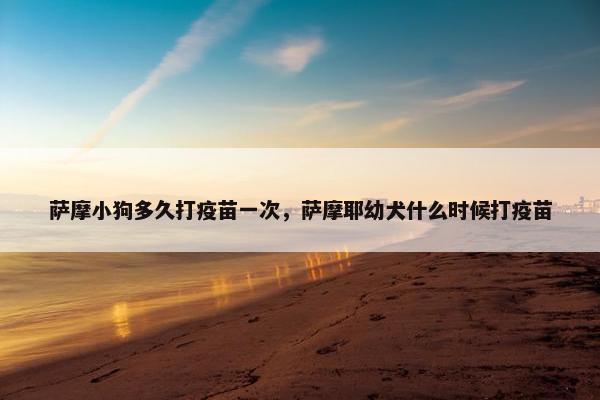 萨摩小狗多久打疫苗一次，萨摩耶幼犬什么时候打疫苗