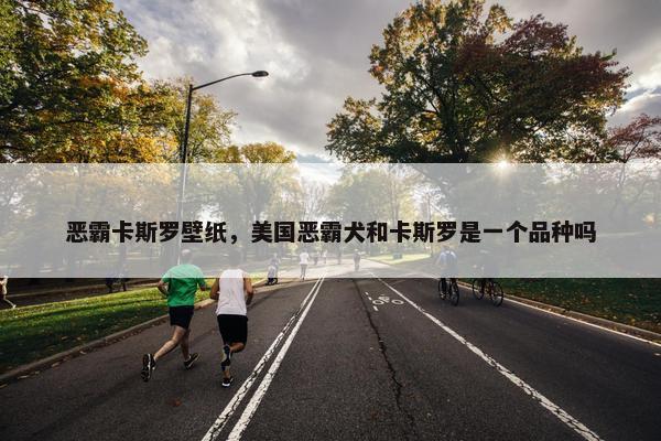 恶霸卡斯罗壁纸，美国恶霸犬和卡斯罗是一个品种吗