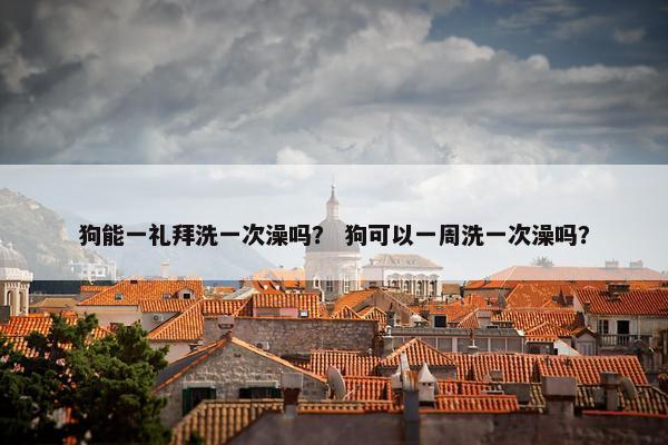 狗能一礼拜洗一次澡吗？ 狗可以一周洗一次澡吗？