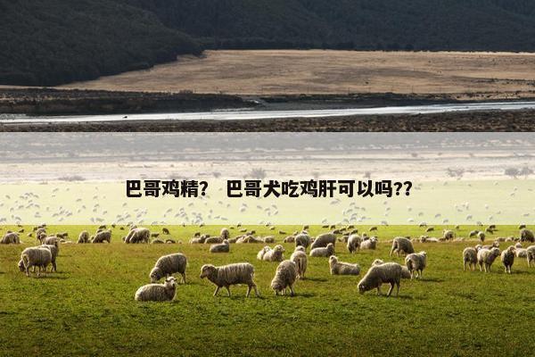 巴哥鸡精？ 巴哥犬吃鸡肝可以吗?？