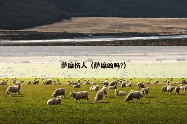 萨摩伤人（萨摩凶吗?）