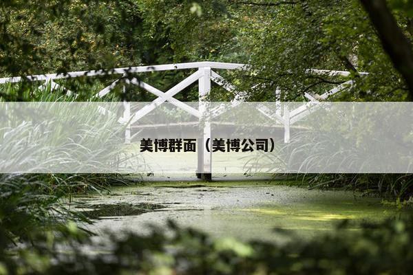 美博群面（美博公司）
