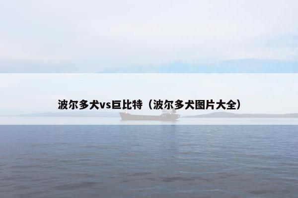 波尔多犬vs巨比特（波尔多犬图片大全）