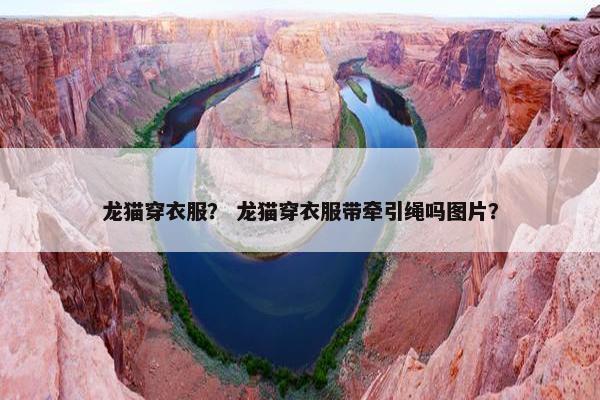 龙猫穿衣服？ 龙猫穿衣服带牵引绳吗图片？