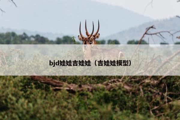 bjd娃娃吉娃娃（吉娃娃模型）
