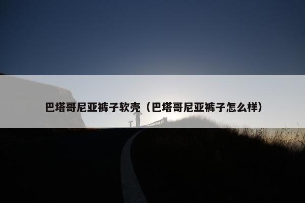 巴塔哥尼亚裤子软壳（巴塔哥尼亚裤子怎么样）