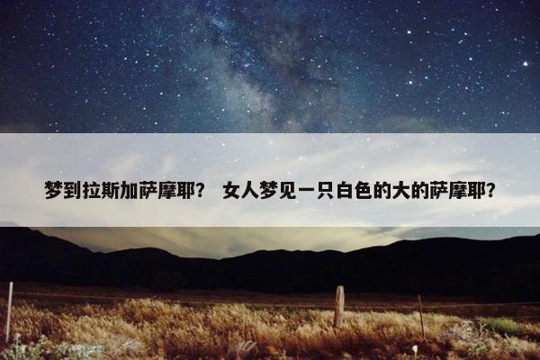 梦到拉斯加萨摩耶？ 女人梦见一只白色的大的萨摩耶？