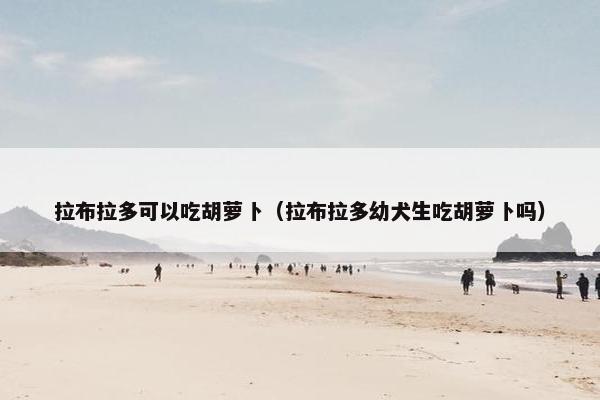 拉布拉多可以吃胡萝卜（拉布拉多幼犬生吃胡萝卜吗）