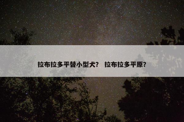 拉布拉多平替小型犬？ 拉布拉多平原？