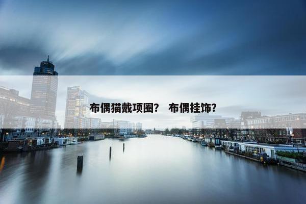 布偶猫戴项圈？ 布偶挂饰？