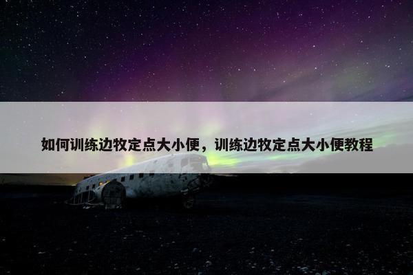 如何训练边牧定点大小便，训练边牧定点大小便教程