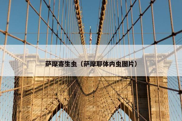 萨摩寄生虫（萨摩耶体内虫图片）