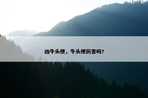 凶牛头梗，牛头梗厉害吗?