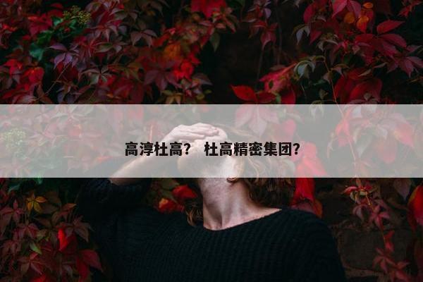 高淳杜高？ 杜高精密集团？