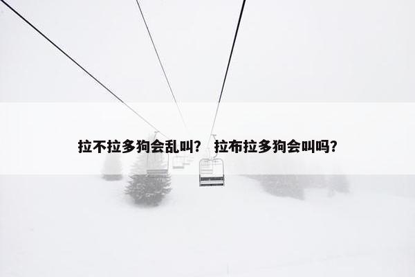 拉不拉多狗会乱叫？ 拉布拉多狗会叫吗？