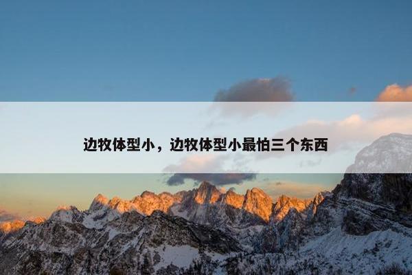 边牧体型小，边牧体型小最怕三个东西