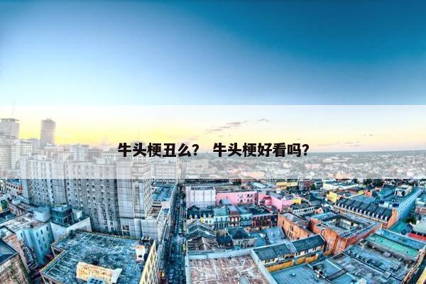 牛头梗丑么？ 牛头梗好看吗？
