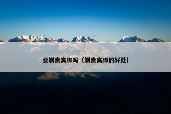 要剃贵宾脚吗（剃贵宾脚的好处）