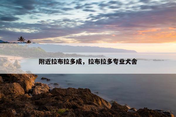 附近拉布拉多成，拉布拉多专业犬舍