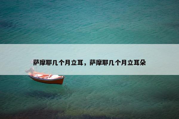 萨摩耶几个月立耳，萨摩耶几个月立耳朵