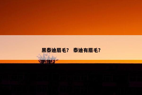 黑泰迪眉毛？ 泰迪有眉毛？