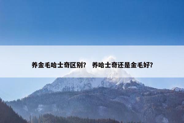 养金毛哈士奇区别？ 养哈士奇还是金毛好？