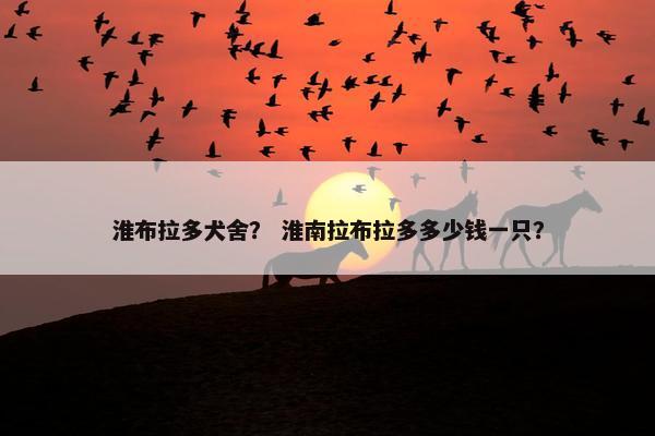 淮布拉多犬舍？ 淮南拉布拉多多少钱一只？